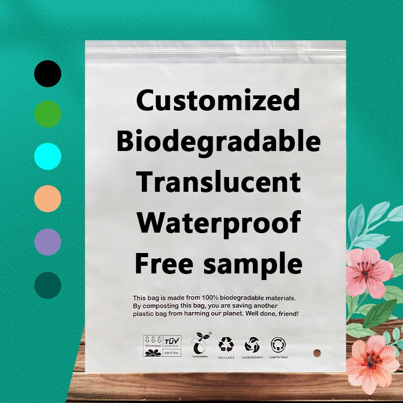 Zeal X lanza bolsas biodegradables PLA PBAT de alto rendimiento para soluciones de embalaje sostenibles en todo el mundo