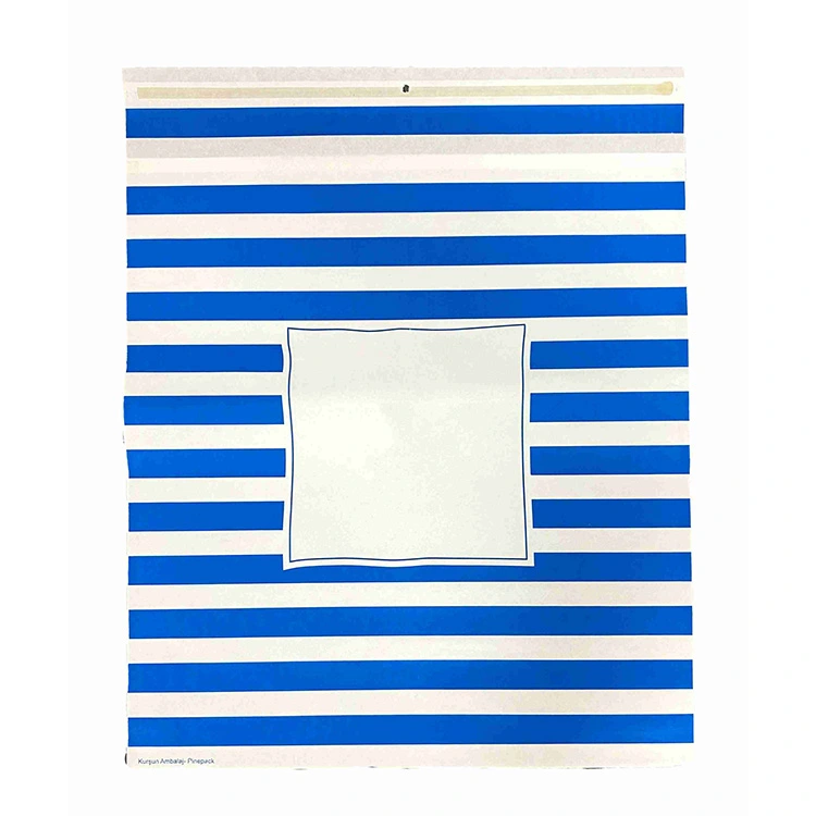Bolsa de papel kraft blanca
